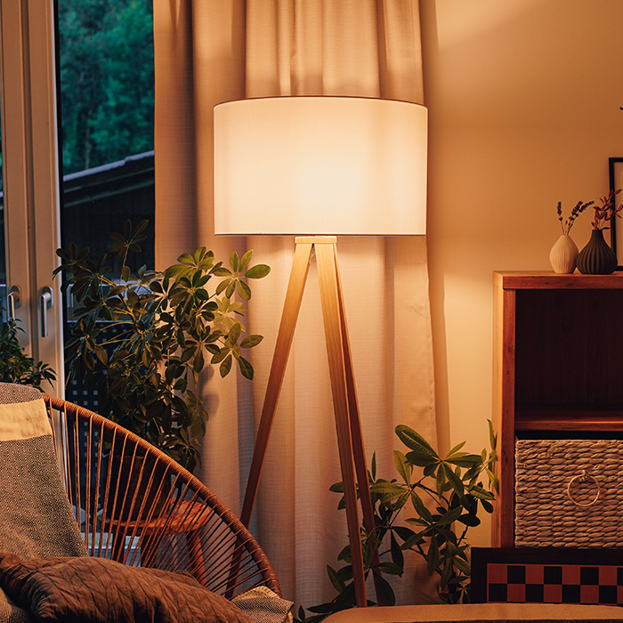 AdobeStock 513169001